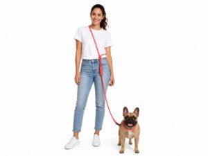 ZEE.DOG Neon Coral - Kéz nélküli póráz